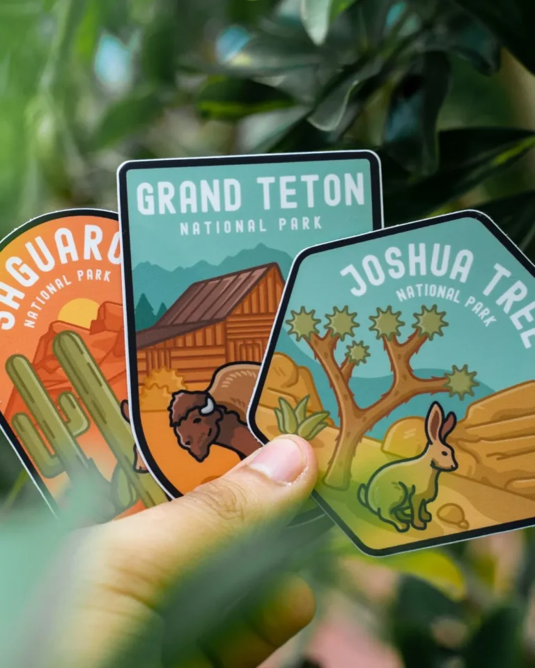 Hand holding die-cut illustrated stickers